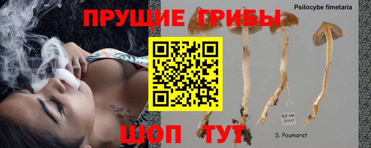 Гусиноозёрск  Галлюциногенные грибы Psilocybe  Псилоцибиновые грибы мицелий  Вход с VPN 